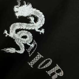 Picture of Dior T Shirts Short _SKUDiorXS-Lfstn0415524